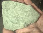 ichnofossils-689529add9c1a.jpg