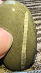crinoid-689fe61e021f4.jpg